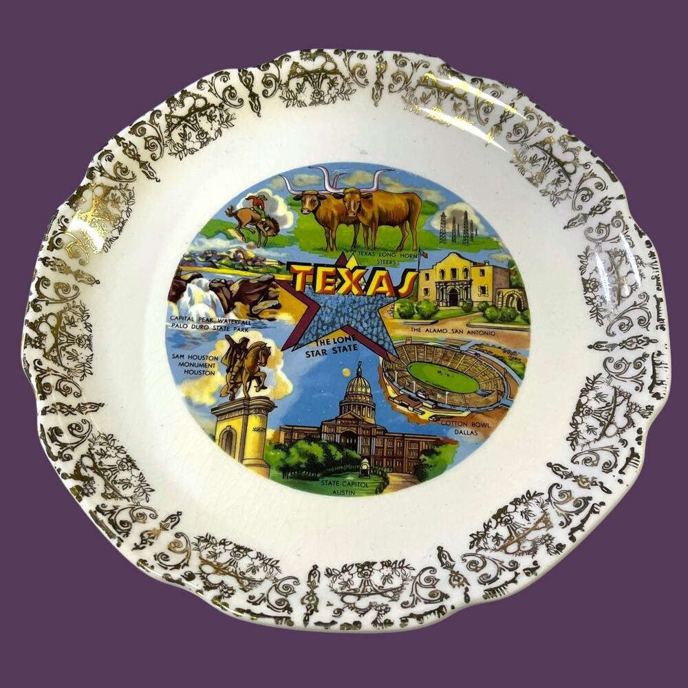 Vintage Texas Souvenir Plate Lone Star State Alamo 9.25”